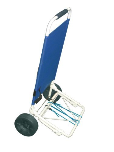 Beach Cart Under $60