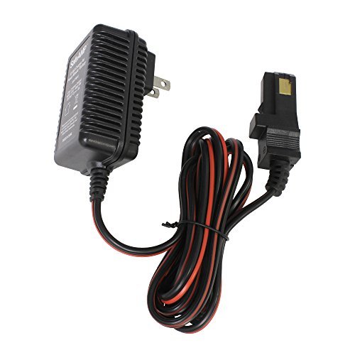 E Beach Wagon Battery Charger