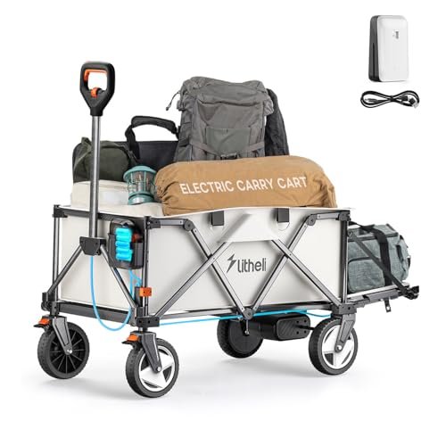 Sandy Beach Electric Cart Wagon