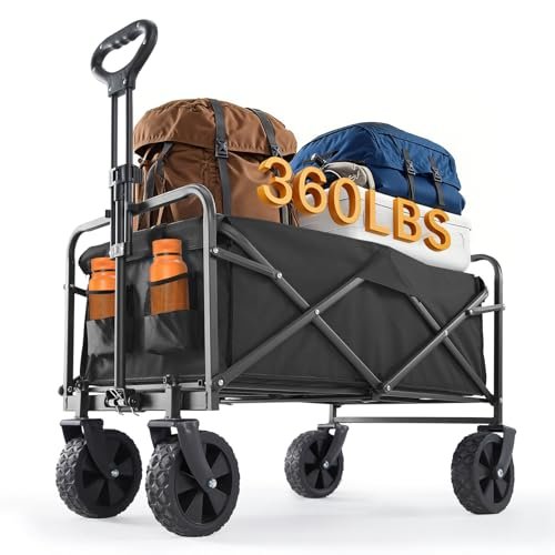 What Is The Best Beach Cart